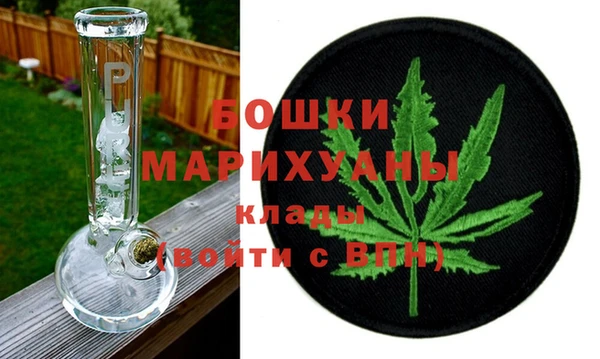 PSILOCYBIN Осташков